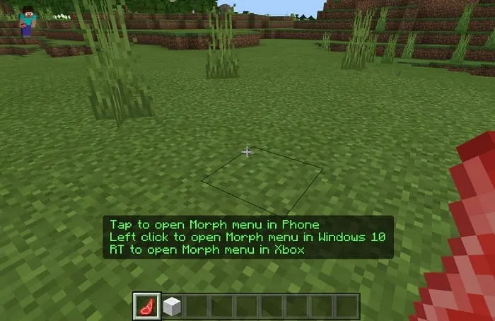 Morph Plus Addon screenshot