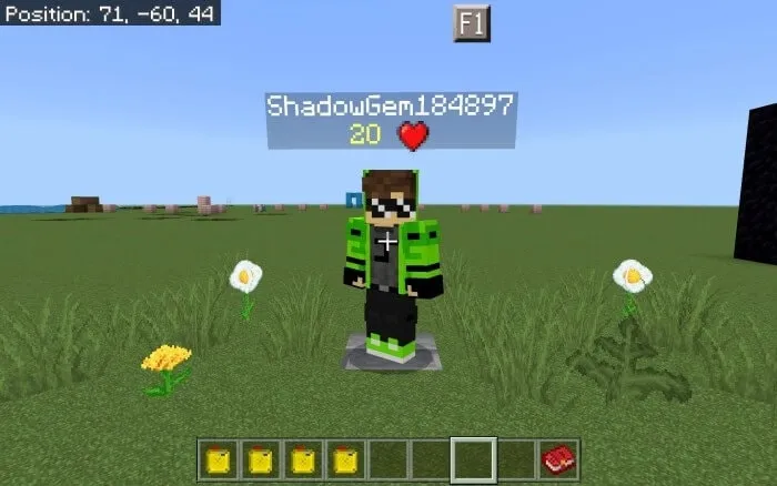 Health Bar Mod / Addon screenshot