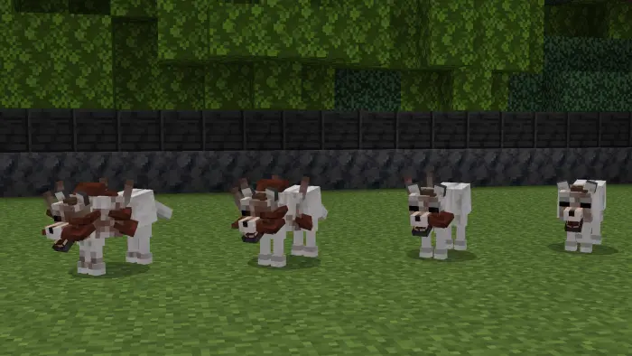 FUNGUS HAZARD Mod / Addon screenshot