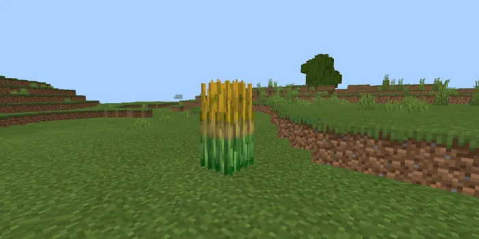 More Food Addon screenshot