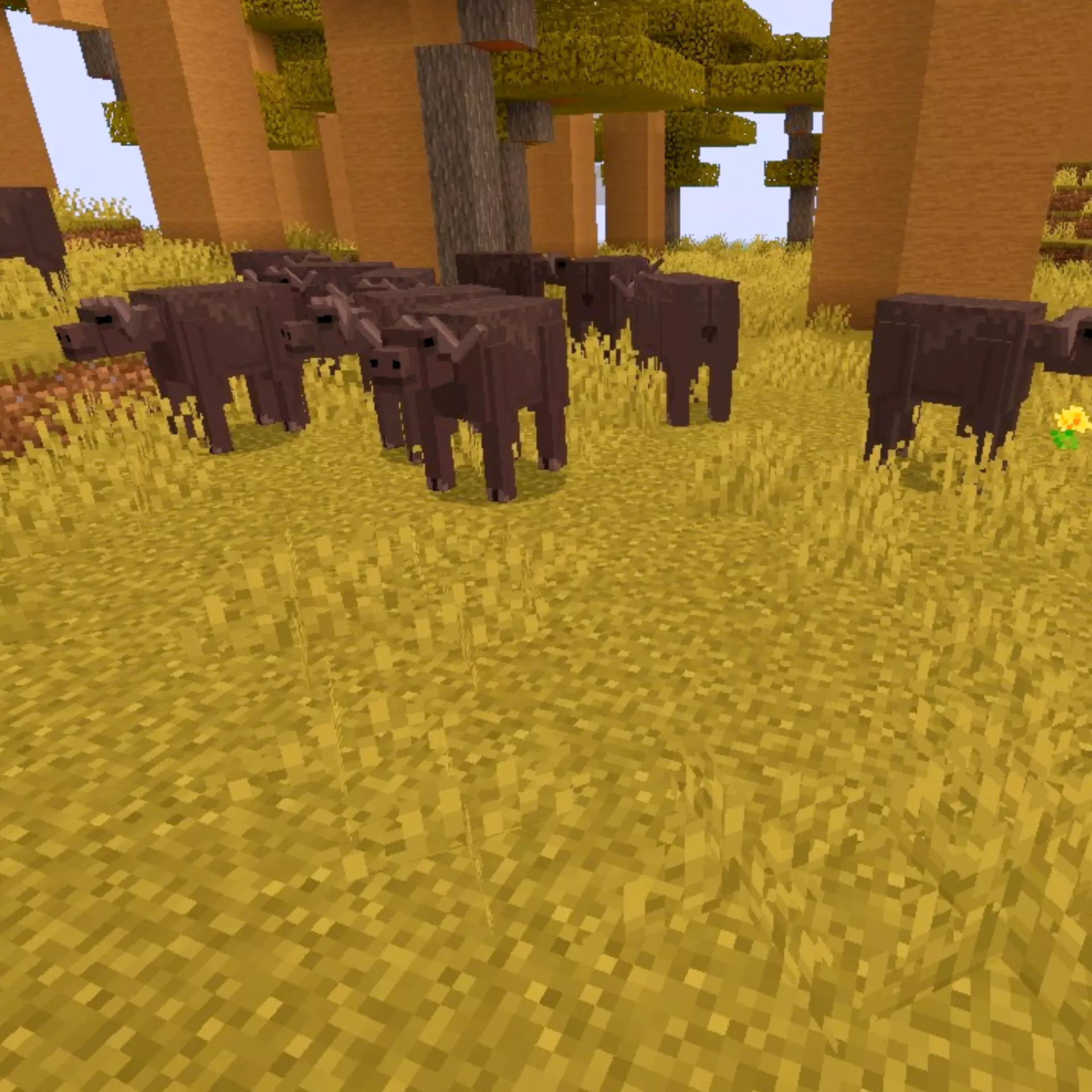 Wildlife SAVANNA Mod / Addon screenshot