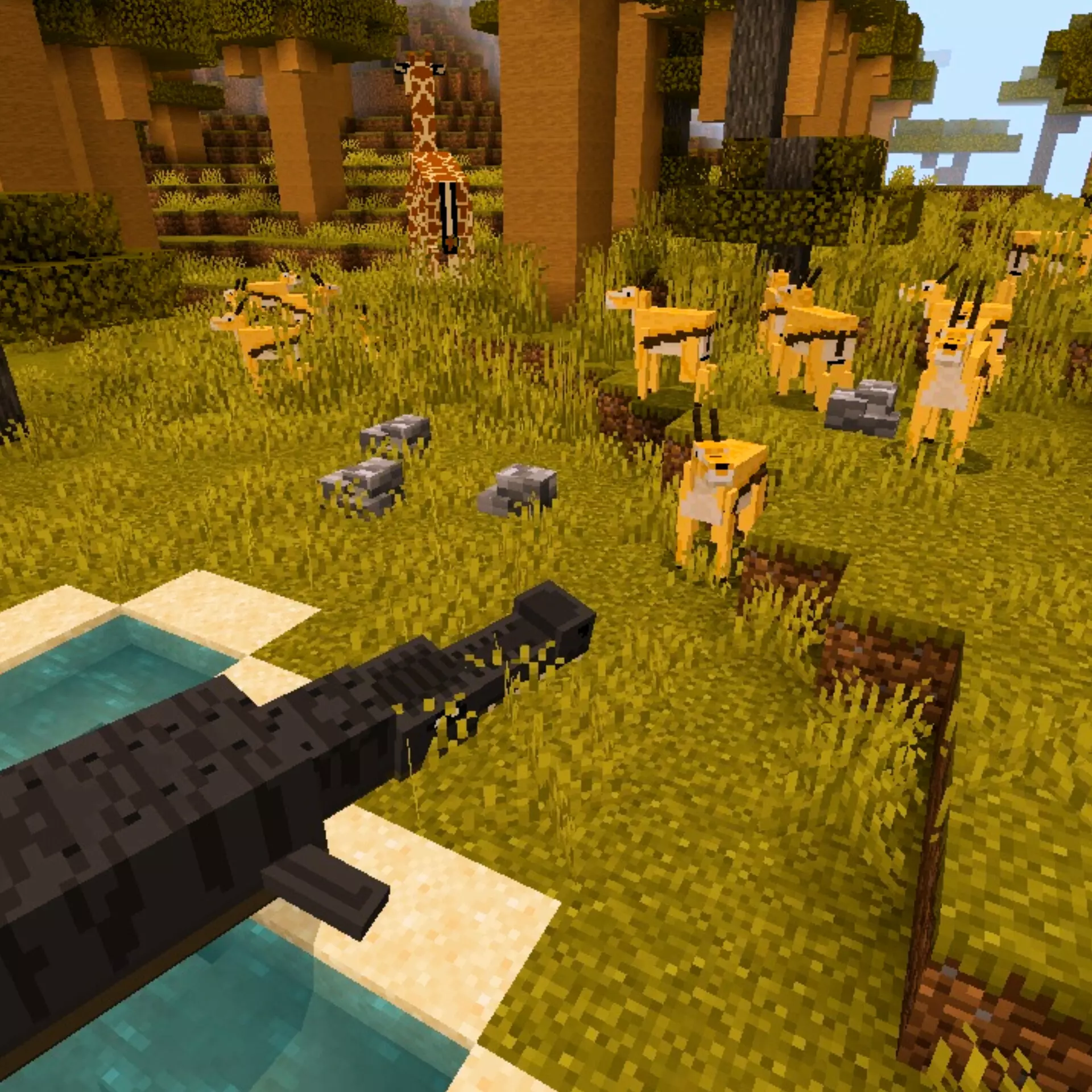 Wildlife SAVANNA Mod / Addon screenshot