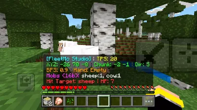 Java Debug Menu PE/BE Addon thumbnail