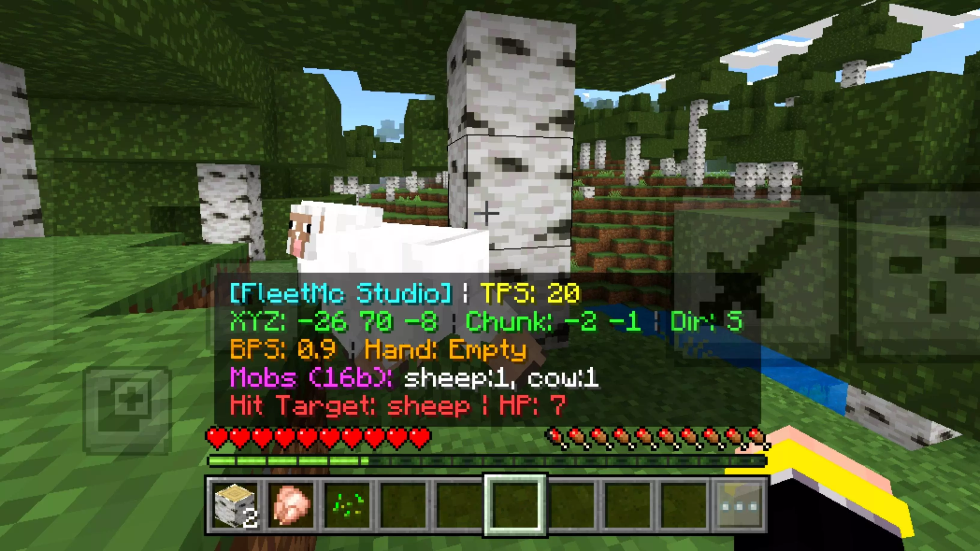 Java Debug Menu PE/BE Addon pic 4