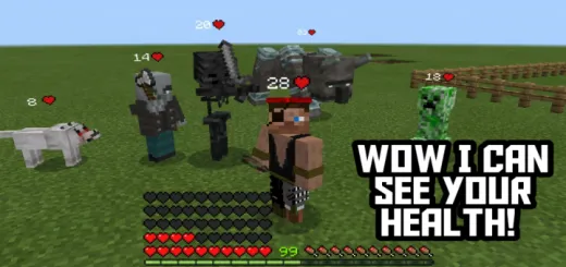 Damage Indicator Add-on thumbnail