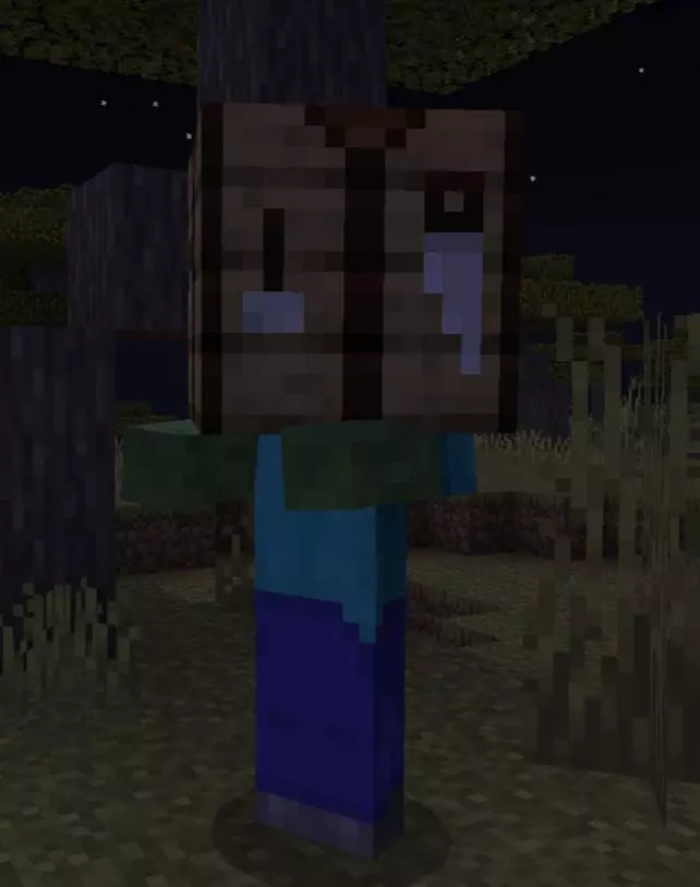 Cosmetics + Mod / Addon screenshot
