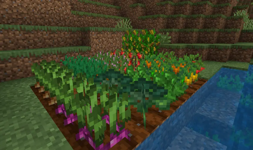 Food Expansion – More Food Mod / Addon screenshot