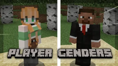 Player Genders Mod / Addon pic 1