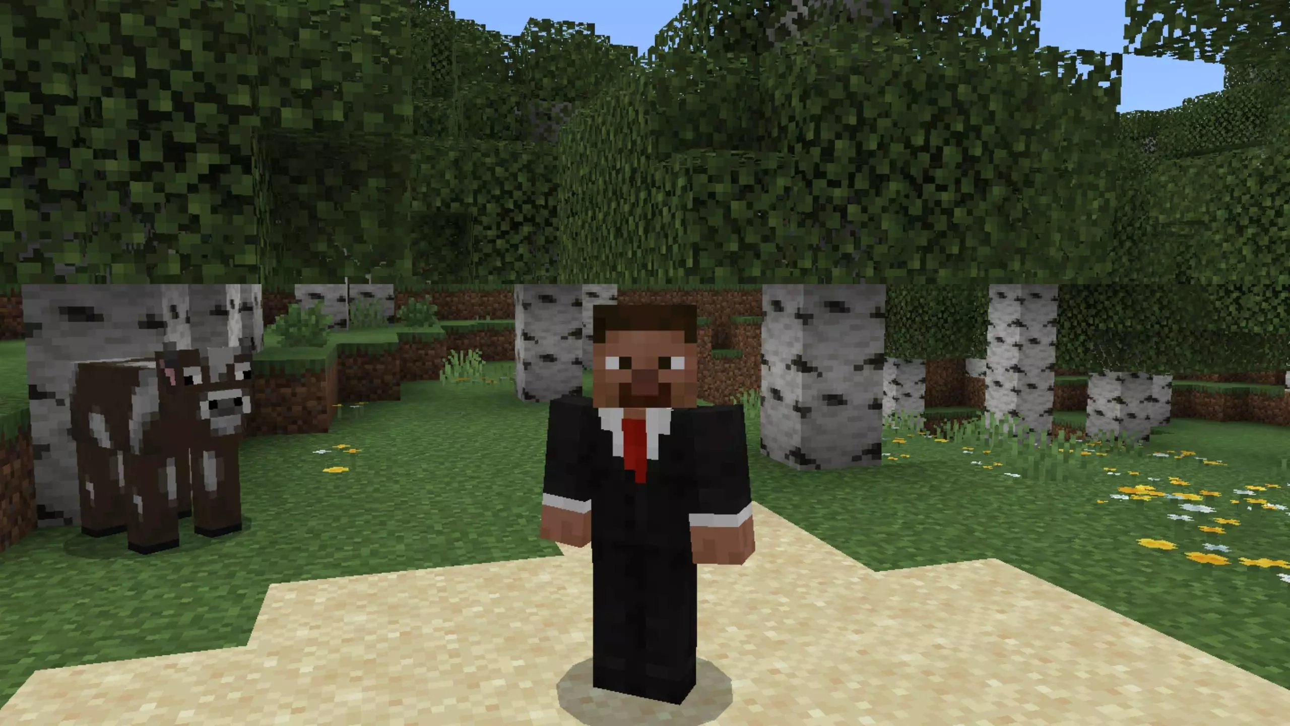 Player Genders Mod / Addon pic 3