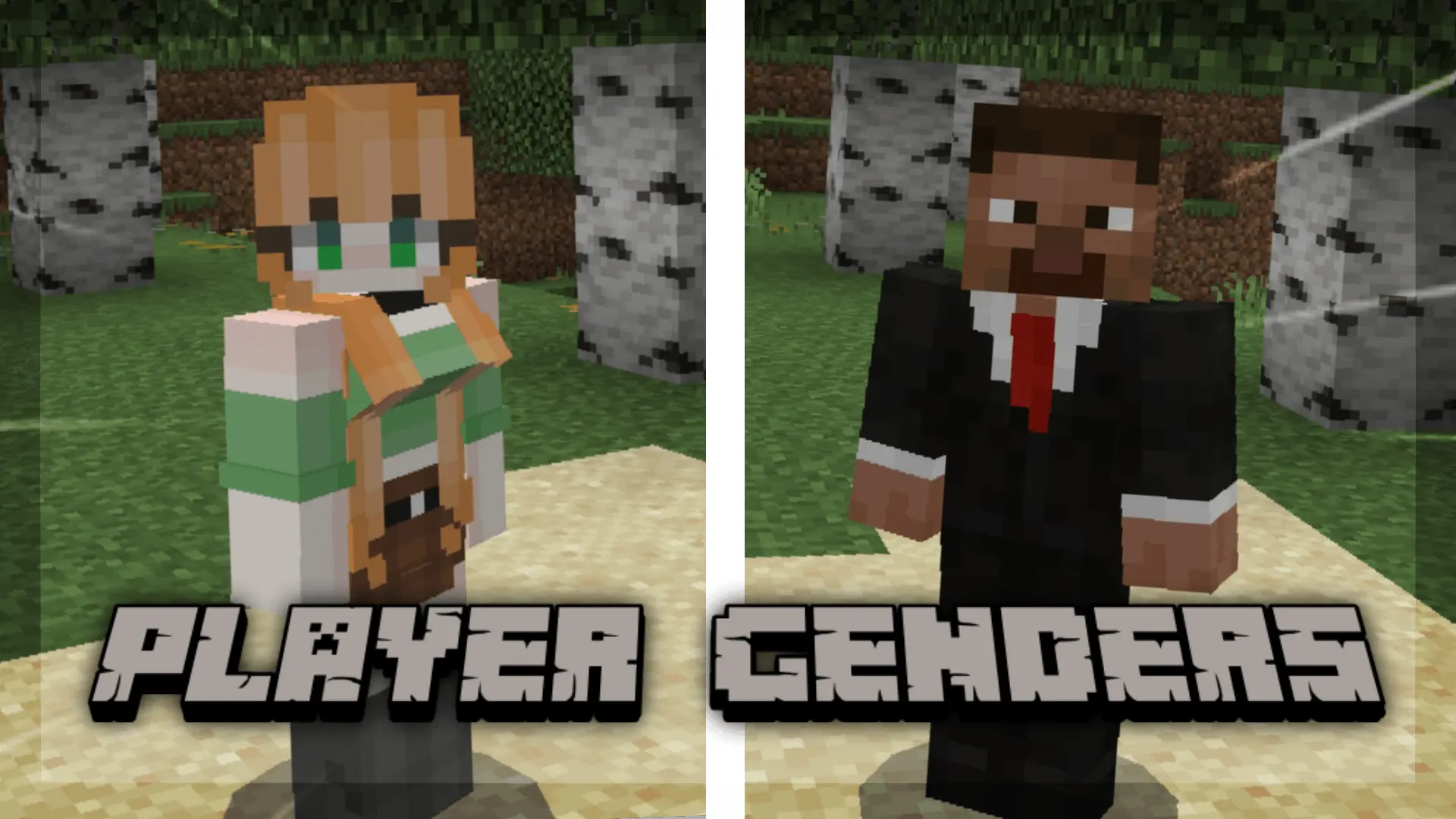 Player Genders Mod / Addon pic 5