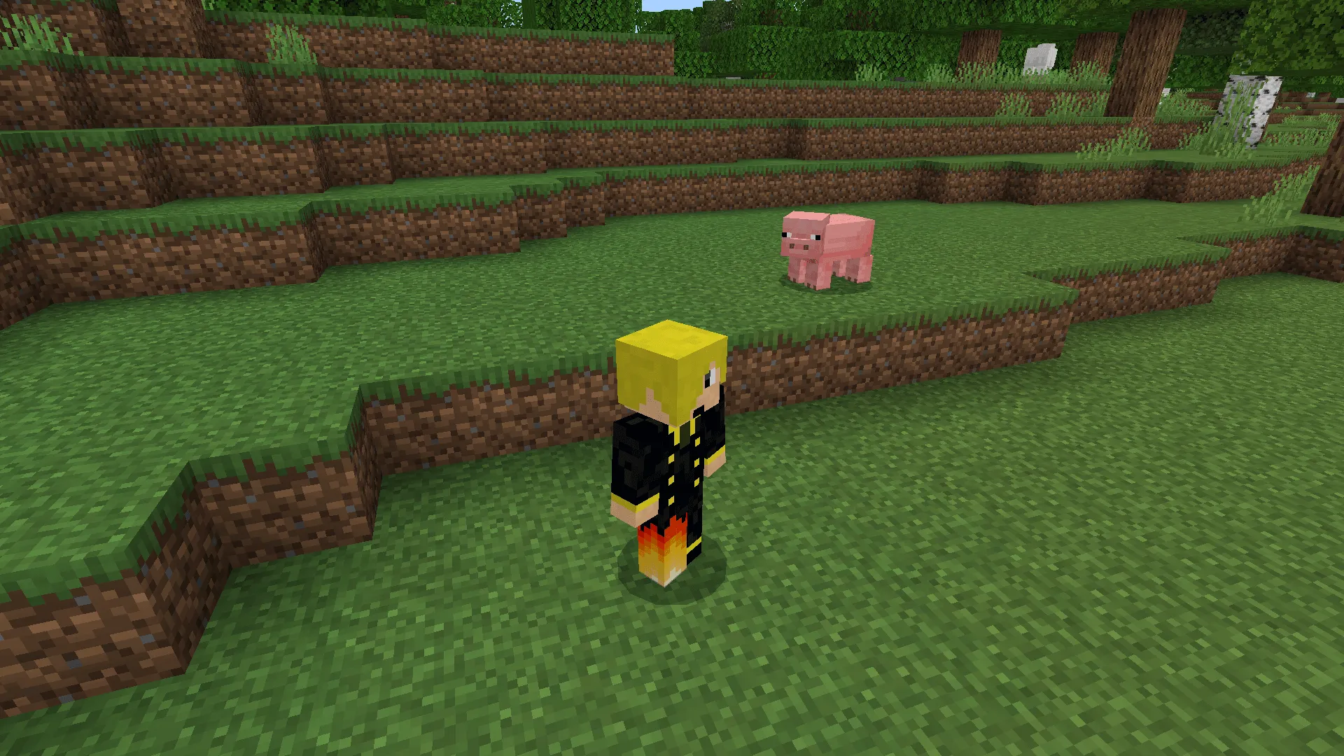 Free Look Addon screenshot