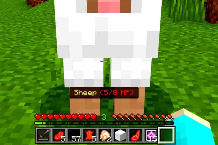 SWAILA - Simple What Am I Looking At Addon screenshot