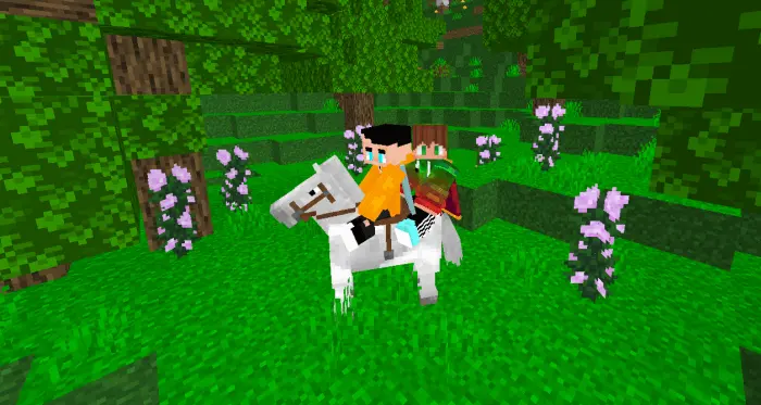 Two Players Rideable Horse Addon screenshot