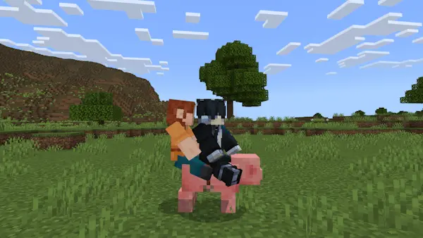 Two Player Horses & Pigs Mod / Addon screenshot