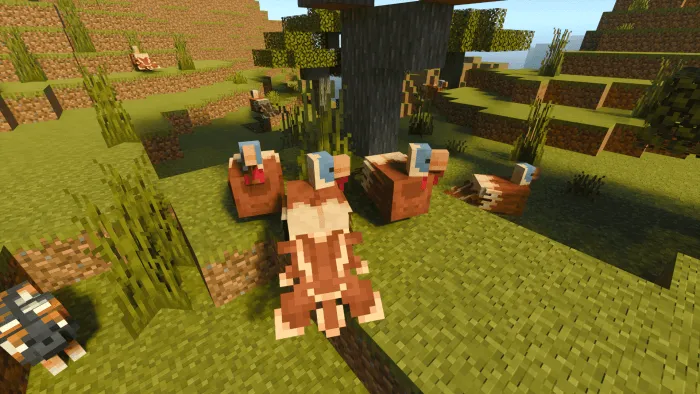 Turkey Addon screenshot