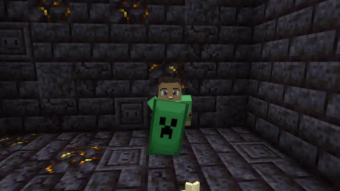 Custom Shields Addon screenshot