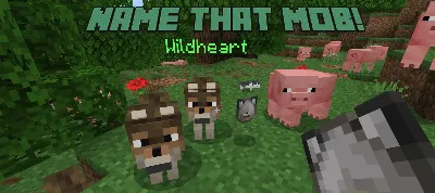 Name That Mob! Mod / Addon thumbnail
