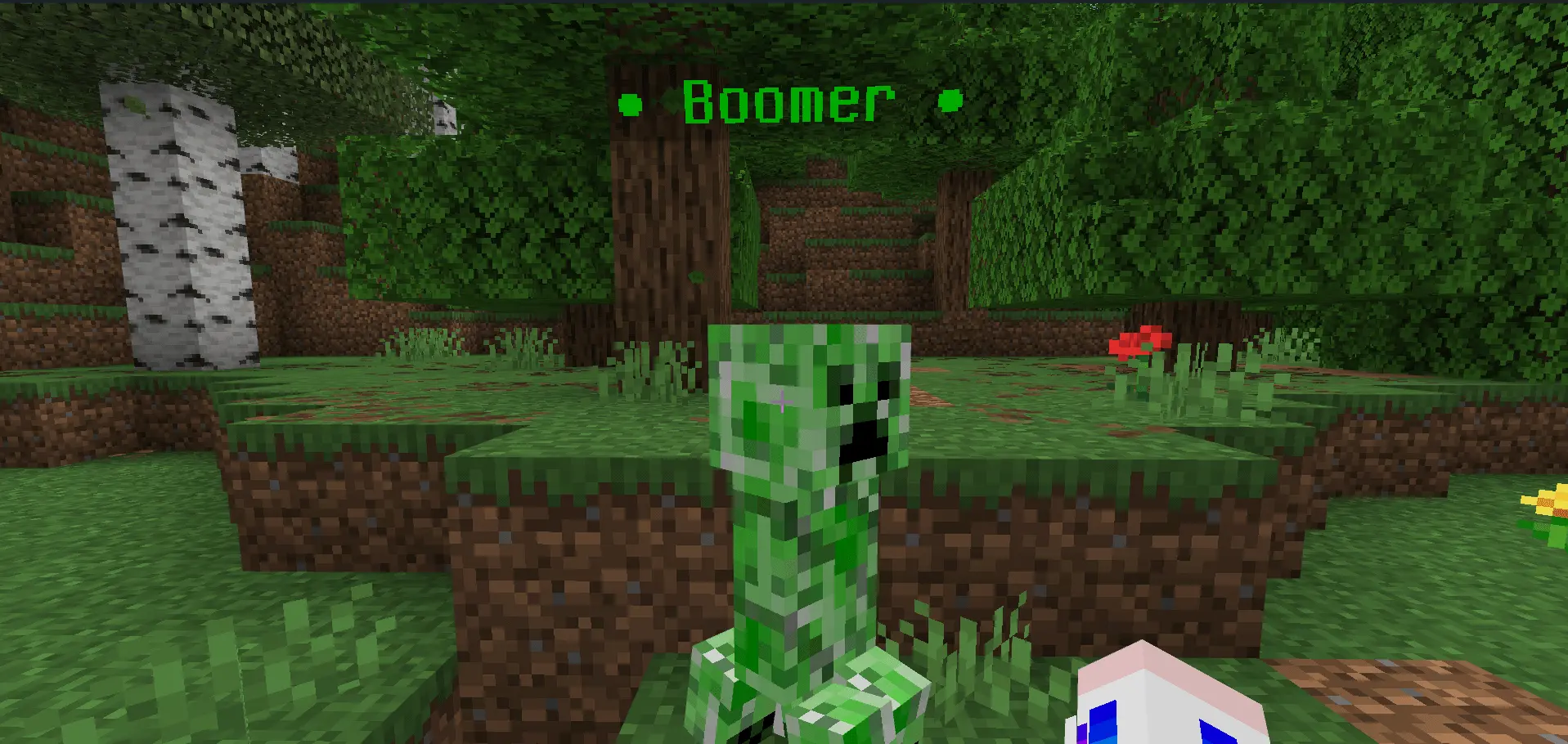 Name That Mob! Mod / Addon screenshot