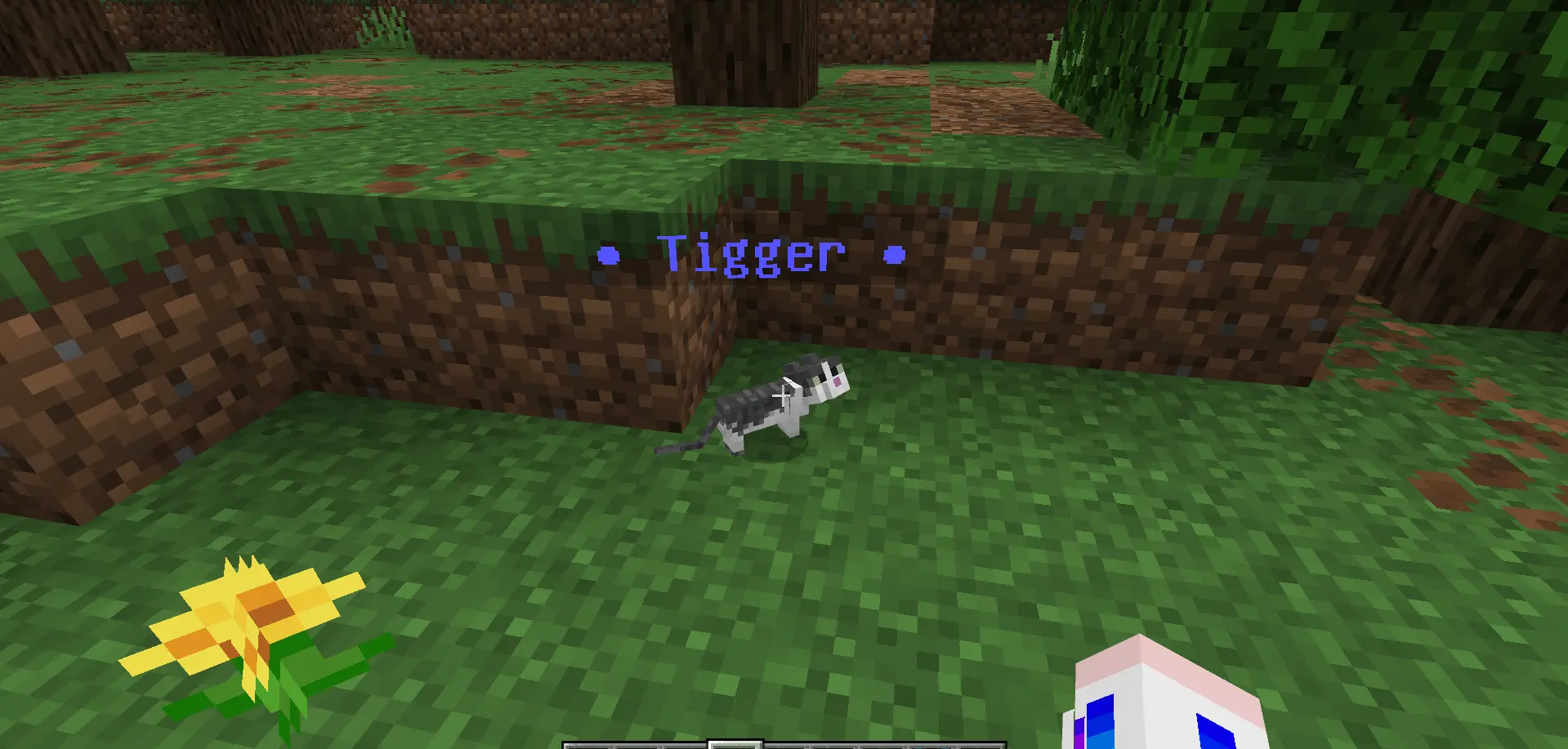 Name That Mob! Mod / Addon screenshot