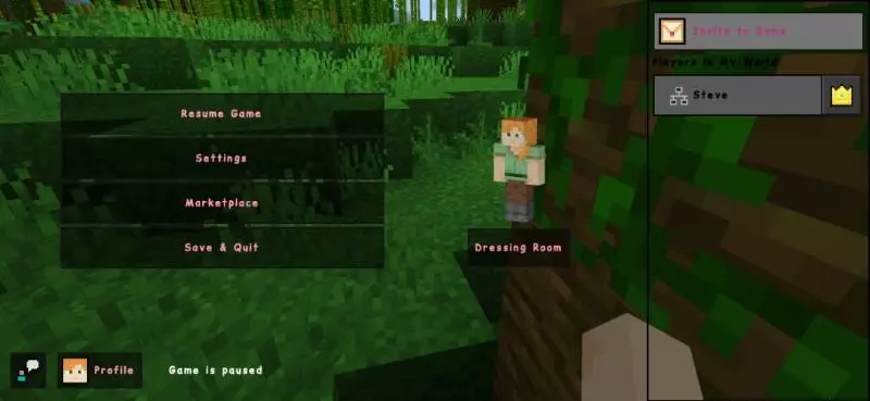Alya Ui (Anime Girl Animated UI) Addon / Texture Pack screenshot