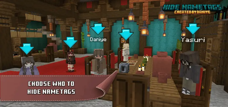 Hide Nametags Mod / Addon screenshot