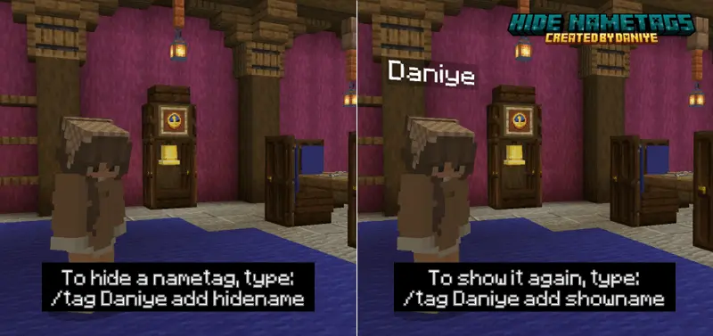Hide Nametags Mod / Addon screenshot