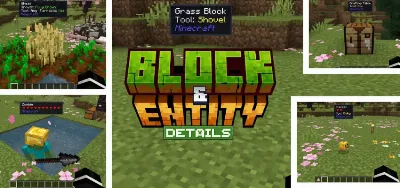 Block & Entity Details Mod / Addon pic 1