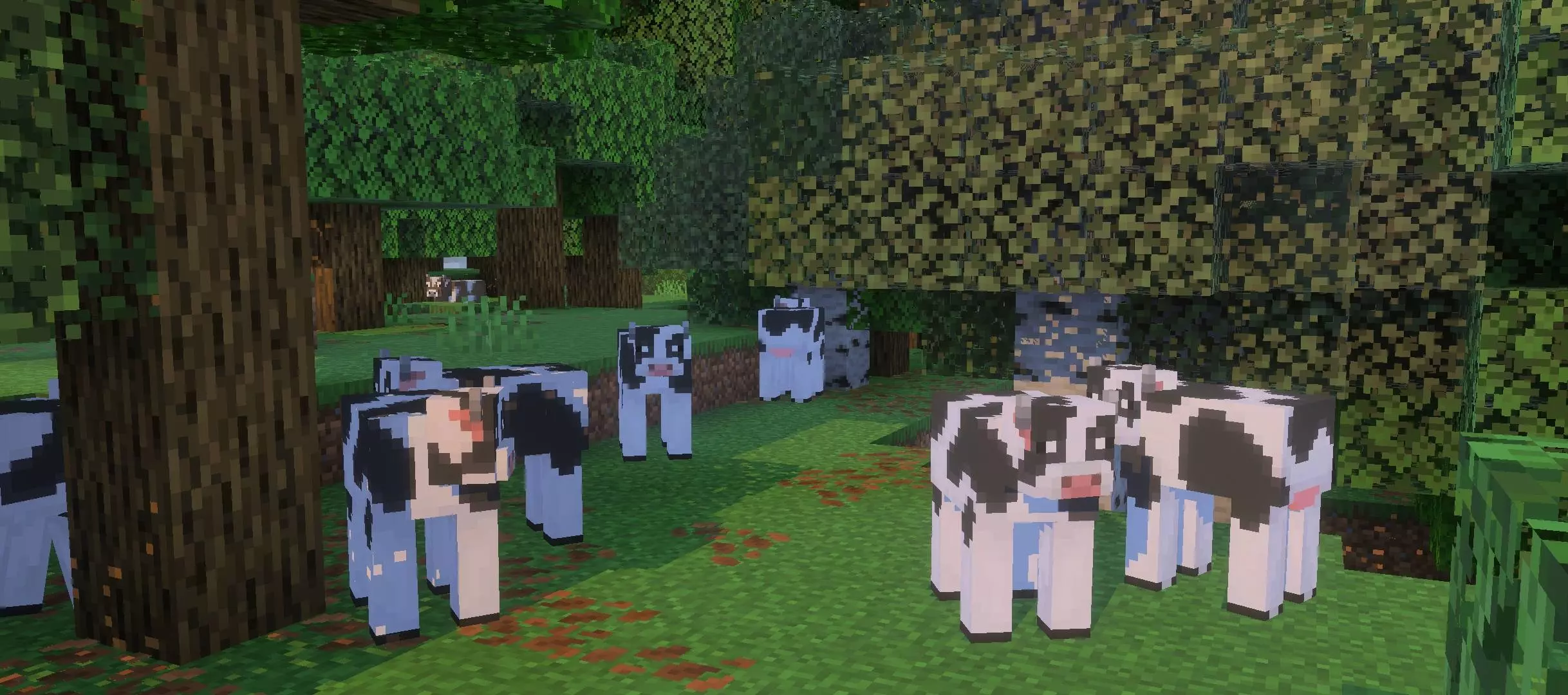 Minecraft Earth Cows – Addon / Texture Pack screenshot