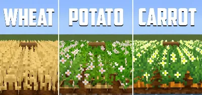 Fancy Crops – Addon / Texture Pack thumbnail