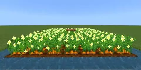 Fancy Crops – Addon / Texture Pack screenshot