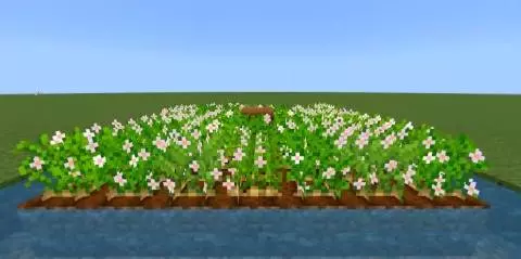 Fancy Crops – Addon / Texture Pack screenshot