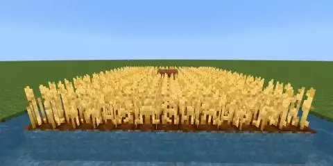 Fancy Crops – Addon / Texture Pack screenshot