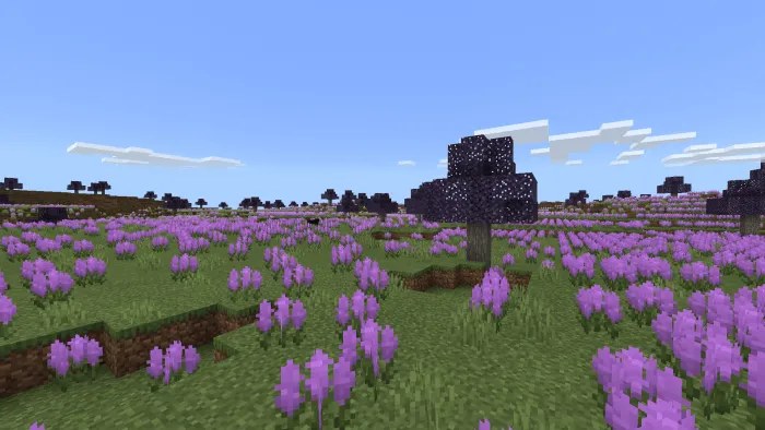 Expansive Biomes Addon pic 3