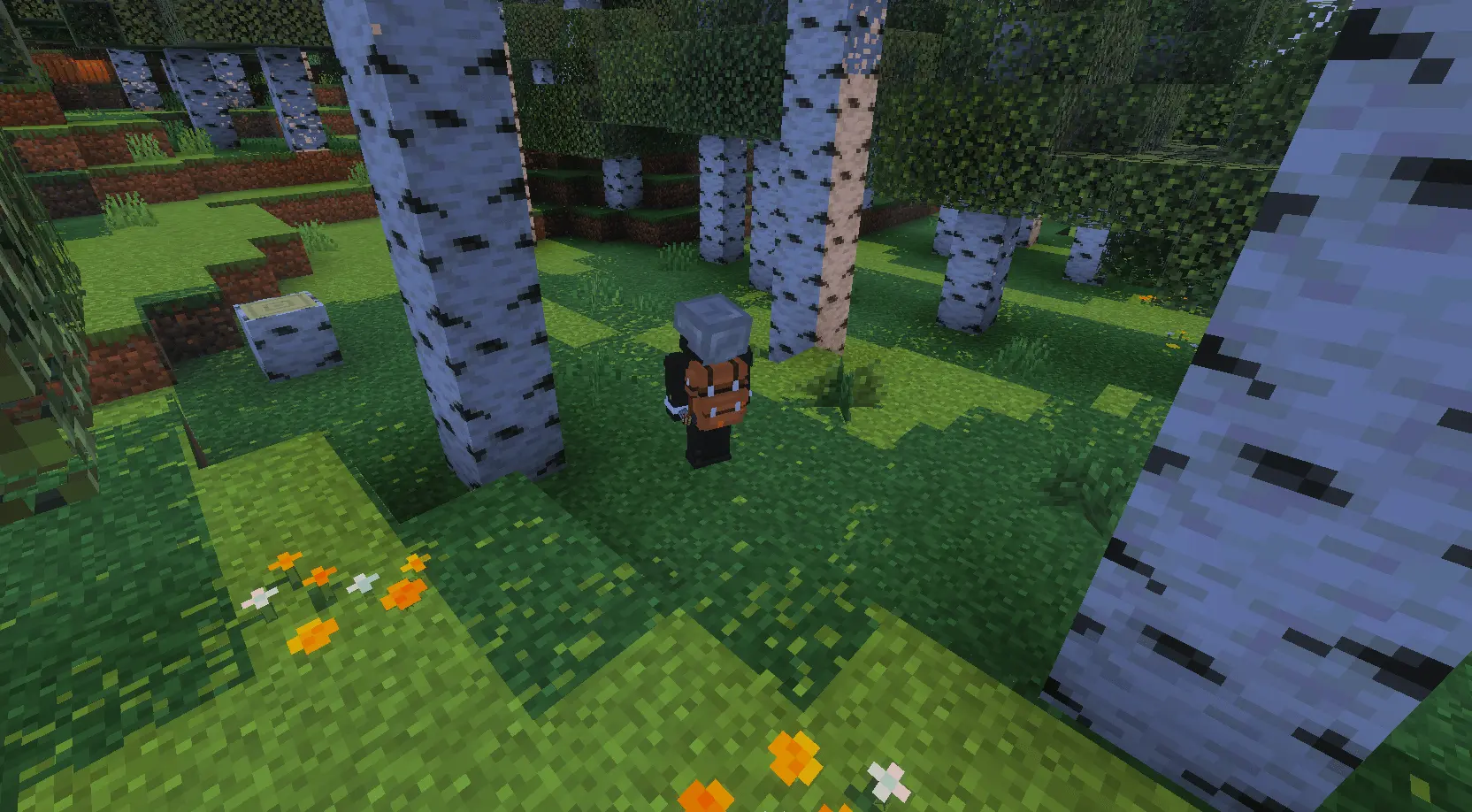 Travelers Extension Mod / Addon screenshot