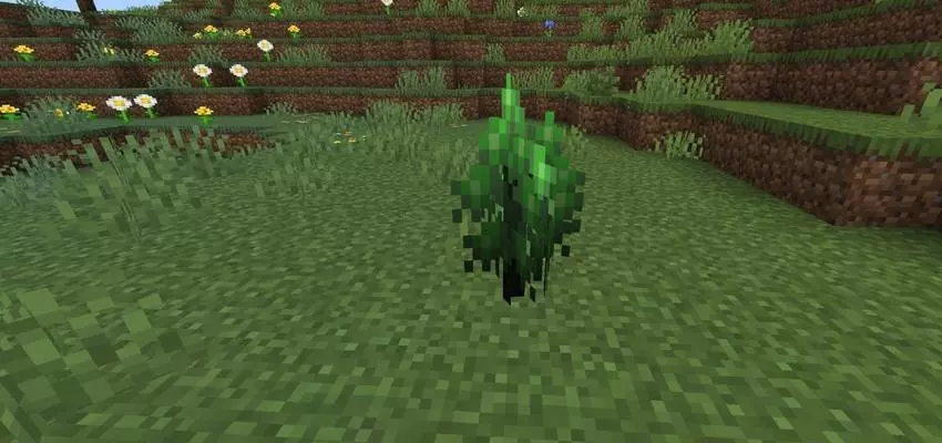 The Grass Mod / Addon screenshot