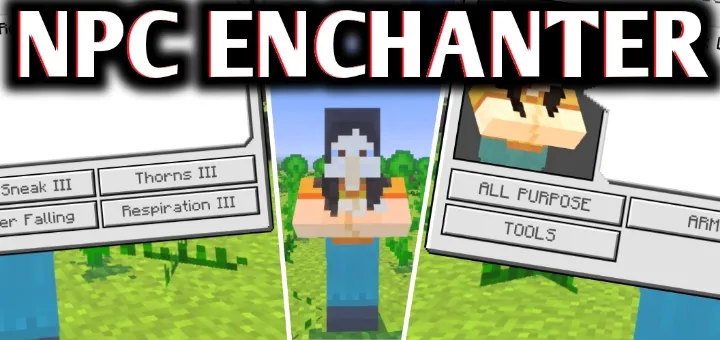 NPC Enchament Mod / Addon thumbnail