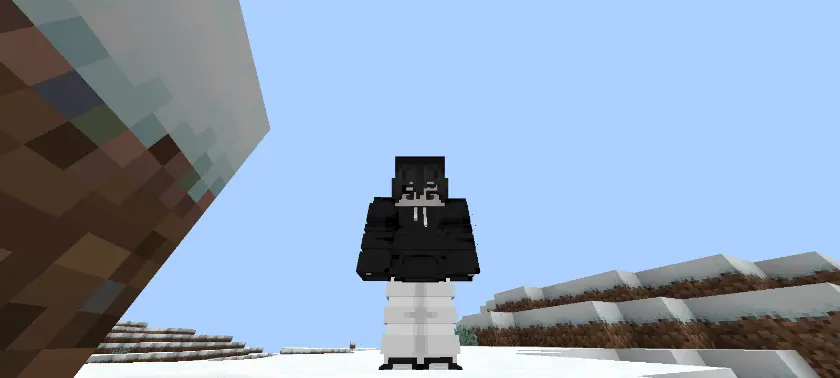 ThreeD Player Skin Addon / Texture Pack screenshot