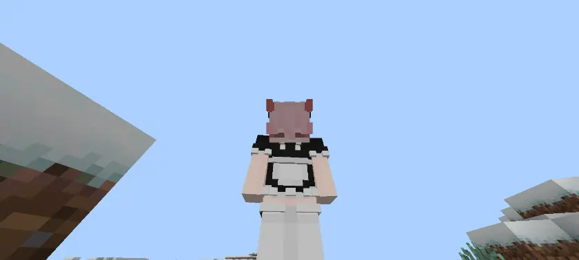 ThreeD Player Skin Addon / Texture Pack screenshot