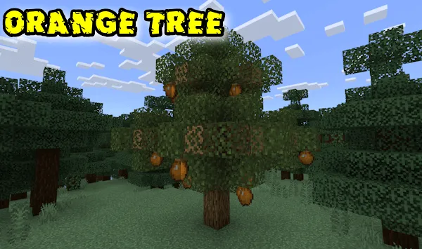 More Fruit FWS Addon screenshot