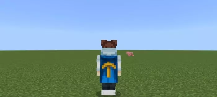 Actions & Stuff Custom Capes Mod / Addon screenshot