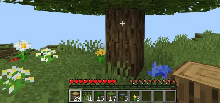MC But You Get Any Block You Look At Mod / Addon screenshot