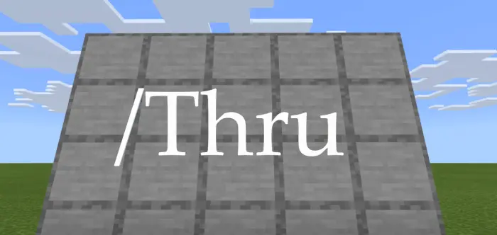 Function Thru Mod / Addon thumbnail