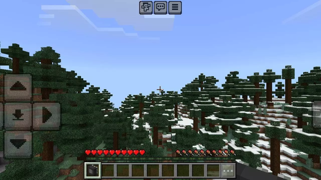 Upgrade Lite: Iron Skin Mod / Addon screenshot
