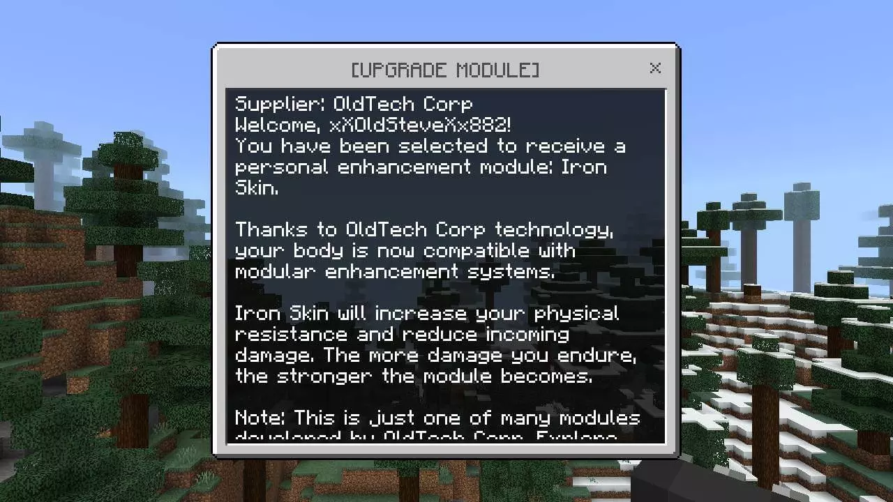 Upgrade Lite: Iron Skin Mod / Addon screenshot