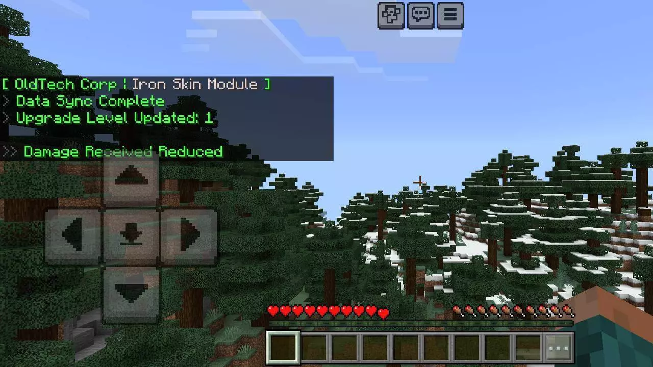 Upgrade Lite: Iron Skin Mod / Addon screenshot