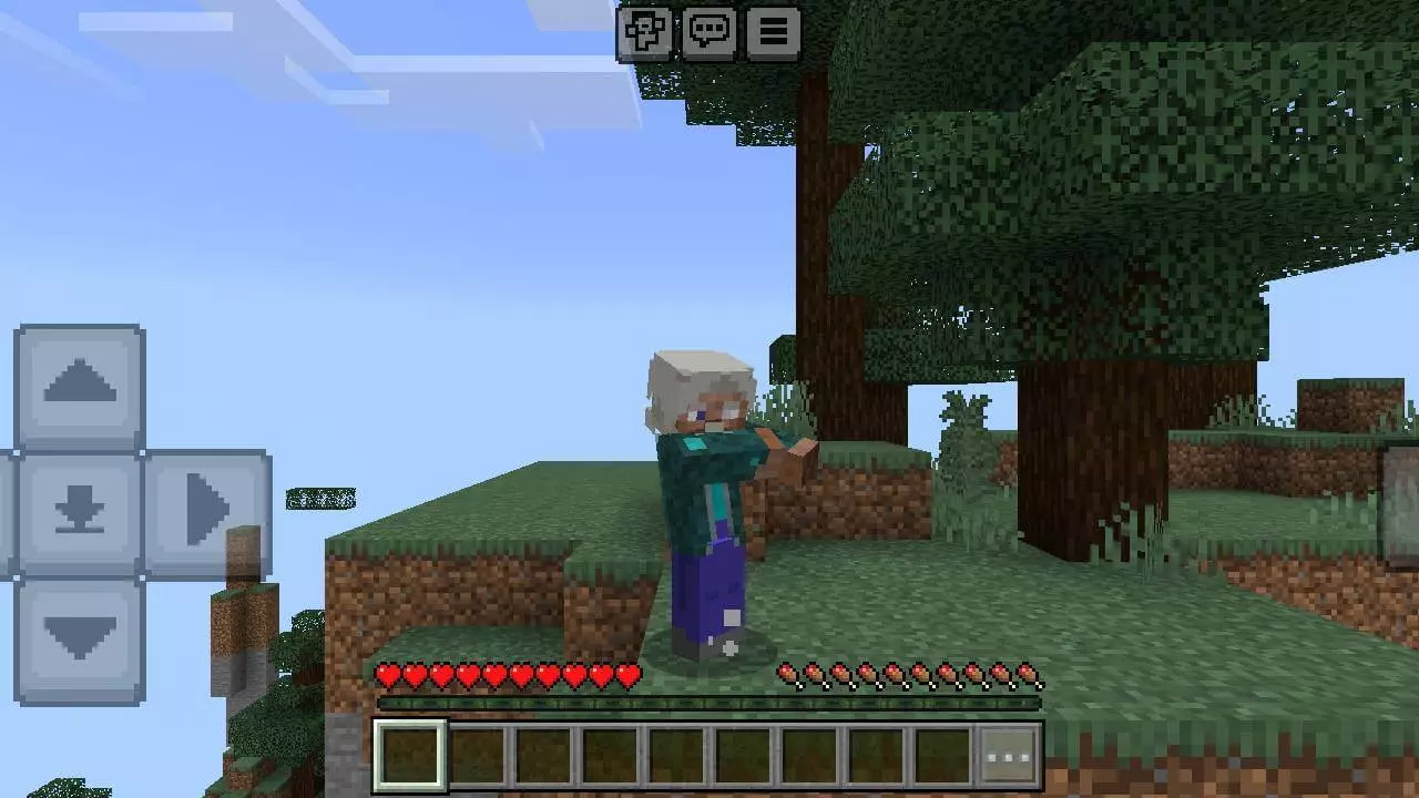 Upgrade Lite: Iron Skin Mod / Addon screenshot