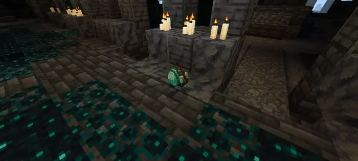 CORRECTED WARDEN Mod / Addon screenshot