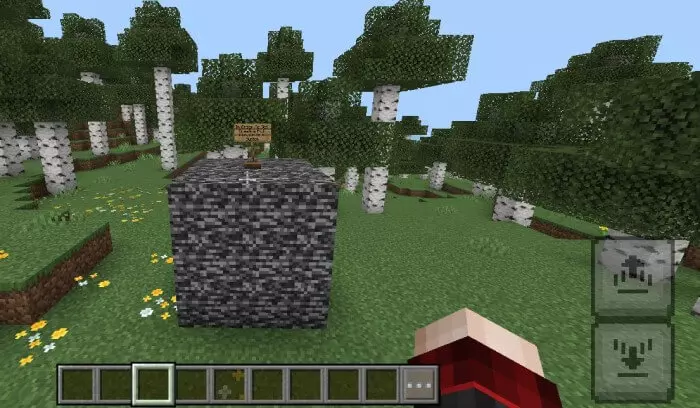Minecraft But You Can Craft Creative Mode! Mod / Addon screenshot