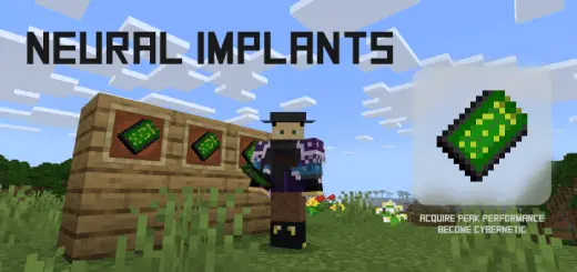 Implan Saraf: Mod / Addon Peningkatan Sibernetik screenshot