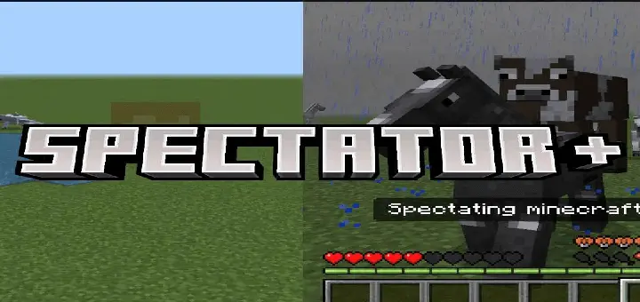 Spectator Plus Addon screenshot
